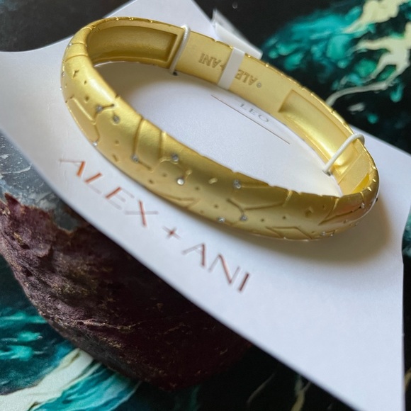 NWT Alex and Ani Leo Zodiac Hinge Bangle - Picture 3 of 8